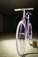 viola09